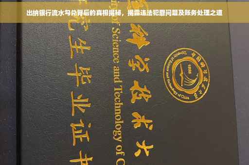 出纳银行流水勾兑背后的真相揭秘，揭露违法犯罪问题及账务处理之道