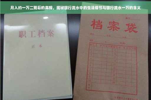 月入约一万二背后的真相，揭秘银行流水中的生活细节与银行流水一万的含义