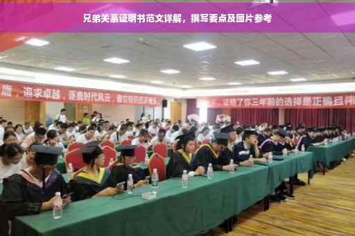 兄弟关系证明书范文详解，撰写要点及图片参考