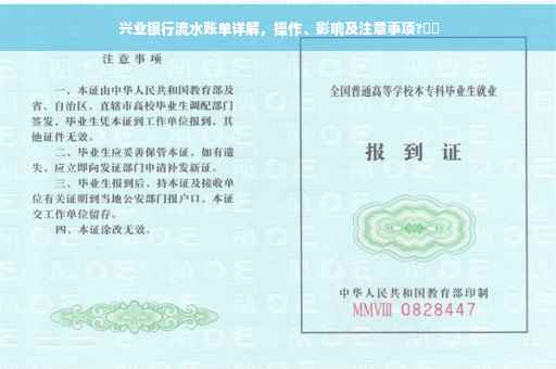 兴业银行流水账单详解，操作、影响及注意事项?⚡️