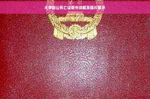 大学因公死亡证明书详解及图片展示