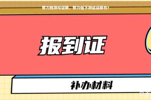 智力检测与证明，智力低下测试证明书?