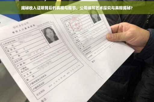 揭秘收入证明背后的真相与细节，公司填写艺术探究与真相揭秘?