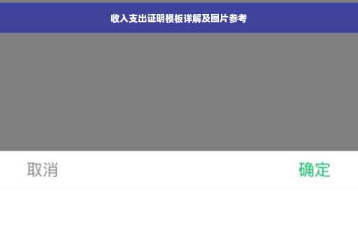 收入支出证明模板详解及图片参考
