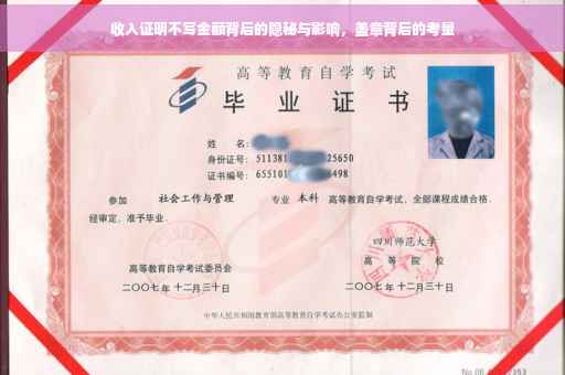 收入证明不写金额背后的隐秘与影响，盖章背后的考量