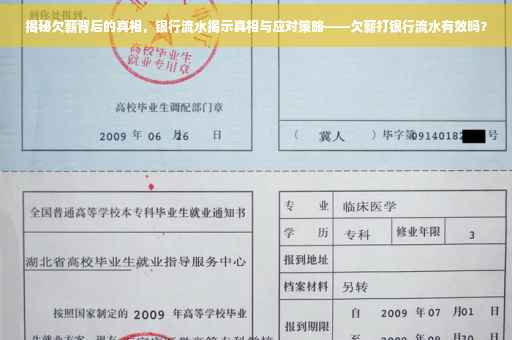 揭秘欠薪背后的真相，银行流水揭示真相与应对策略——欠薪打银行流水有效吗？