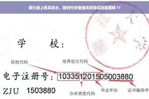 银行线上核实流水，新时代的便捷高效验证流程揭秘 ??