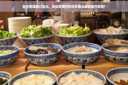 软件梳理银行流水，轻松管理财务的必备工具及操作指南?
