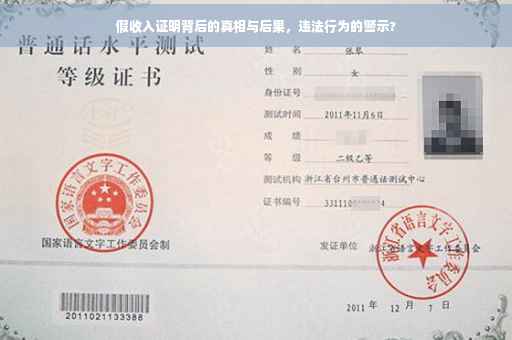 假收入证明背后的真相与后果，违法行为的警示?