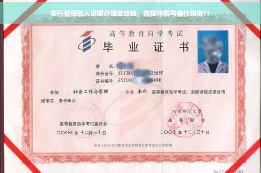 农行低保收入证明办理全攻略，流程详解与操作指南??