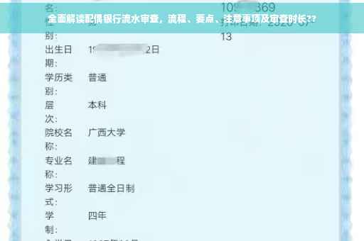 全面解读配偶银行流水审查，流程、要点、注意事项及审查时长??