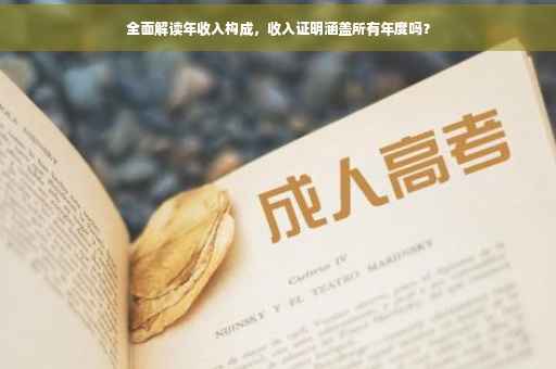 全面解读年收入构成，收入证明涵盖所有年度吗？