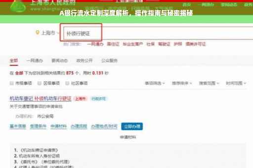 A银行流水定制深度解析，操作指南与秘密揭秘