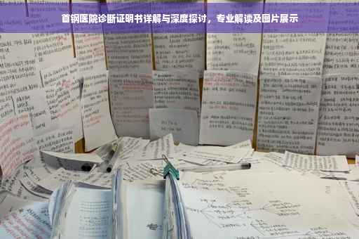 首钢医院诊断证明书详解与深度探讨，专业解读及图片展示