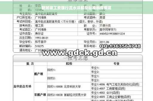 新加坡工资银行流水详解及标准额度概览