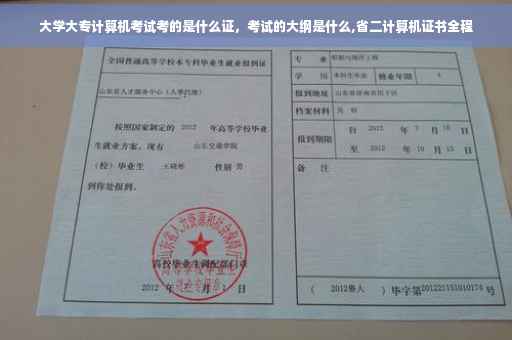 大学大专计算机考试考的是什么证，考试的大纲是什么,省二计算机证书全程