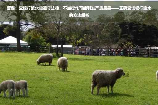 警惕！查银行流水需遵守法律，不当操作可能引发严重后果——正确查询银行流水的方法解析