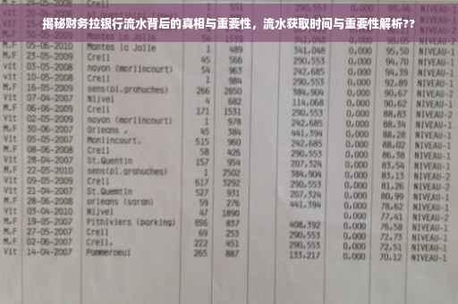揭秘财务拉银行流水背后的真相与重要性，流水获取时间与重要性解析??
