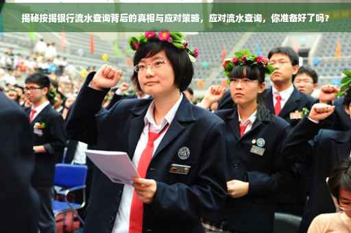 揭秘按揭银行流水查询背后的真相与应对策略，应对流水查询，你准备好了吗？