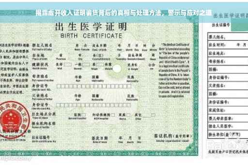 揭露虚开收入证明骗贷背后的真相与处理方法，警示与应对之道
