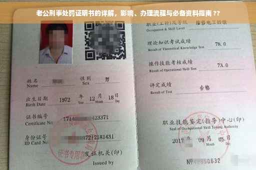 老公刑事处罚证明书的详解，影响、办理流程与必备资料指南 ??