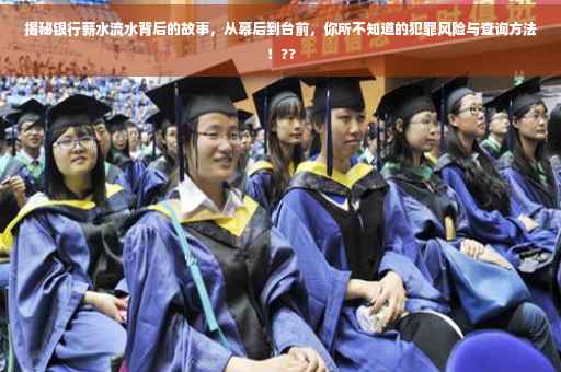 揭秘银行薪水流水背后的故事，从幕后到台前，你所不知道的犯罪风险与查询方法！??