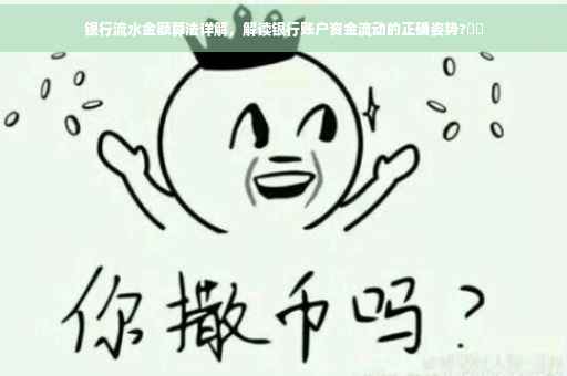 银行流水金额算法详解,解读银行账户资金流动的正确姿势?⚡️ 银行流水金额算法详解,解读银行账户资金流动的正确姿势?⚡️