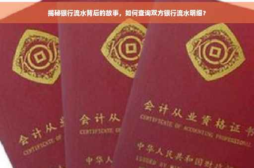 揭秘银行流水背后的故事，如何查询双方银行流水明细？
