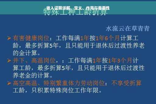 收入证明详解，定义、作用与重要性