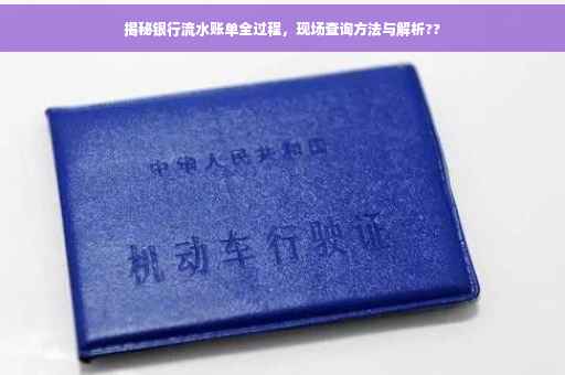 揭秘银行流水账单全过程，现场查询方法与解析??