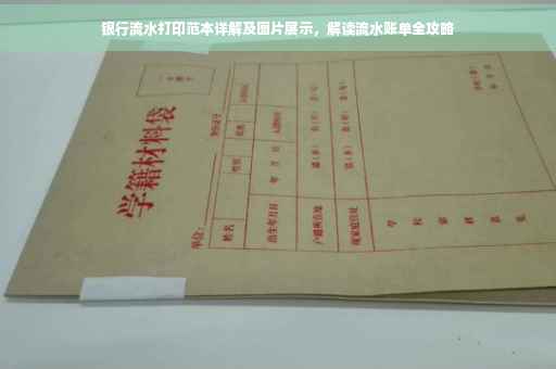 银行流水打印范本详解及图片展示，解读流水账单全攻略