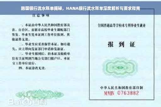 韩国银行流水账单揭秘，HANA银行流水账单深度解析与要求指南