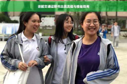 详解交通证明书出具流程与模板指南