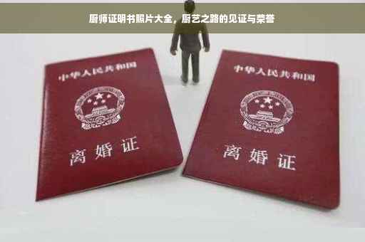 厨师证明书照片大全，厨艺之路的见证与荣誉