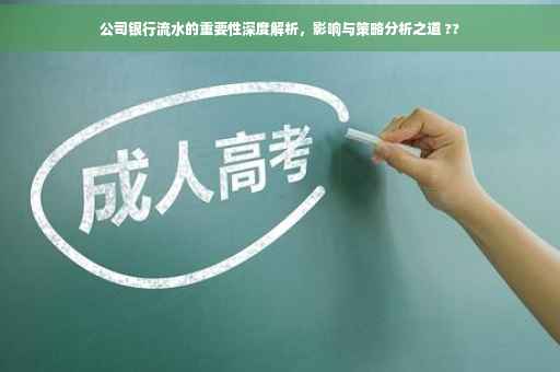公司银行流水的重要性深度解析，影响与策略分析之道 ??