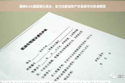 揭秘BOA美国银行流水，全方位解读账户交易细节与账单概览