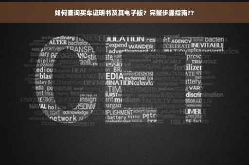 如何查询买车证明书及其电子版？完整步骤指南??