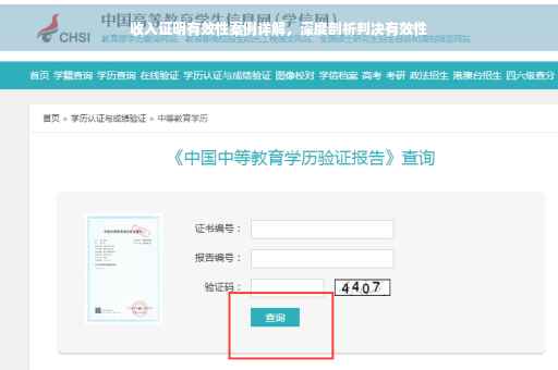 收入证明有效性案例详解，深度剖析判决有效性