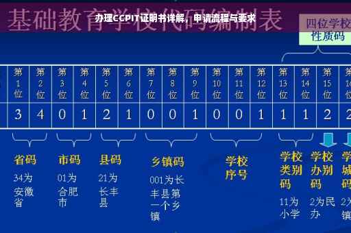 办理CCPIT证明书详解，申请流程与要求