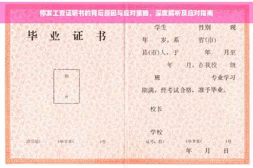 停发工资证明书的背后原因与应对策略，深度解析及应对指南