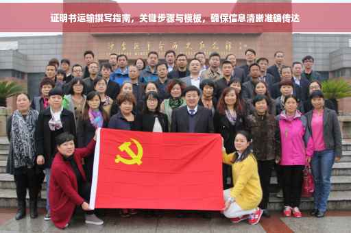 证明书运输撰写指南，关键步骤与模板，确保信息清晰准确传达