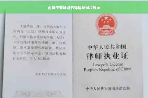 离婚生效证明书详解及图片展示