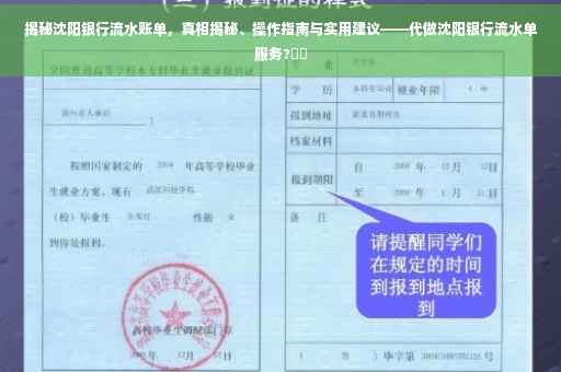 揭秘沈阳银行流水账单，真相揭秘、操作指南与实用建议——代做沈阳银行流水单服务?⚡️