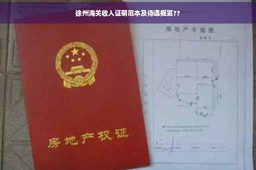 徐州海关收入证明范本及待遇概览??