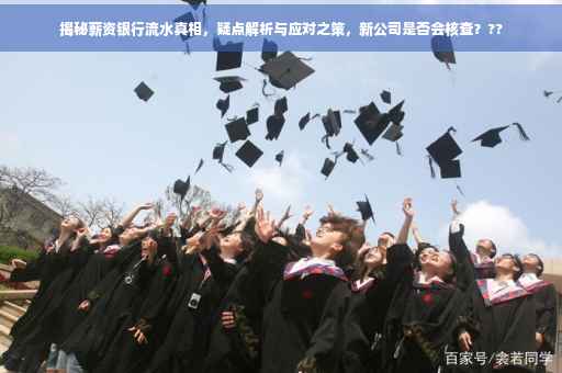揭秘薪资银行流水真相，疑点解析与应对之策，新公司是否会核查？??