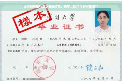 深度解析银行流水金融付款，概念、操作与实用指南??