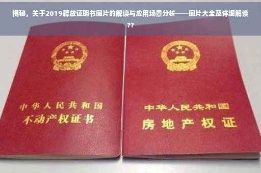 揭秘，关于2019释放证明书图片的解读与应用场景分析——图片大全及详细解读??