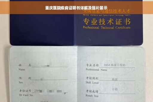 重庆医院疾病证明书详解及图片展示