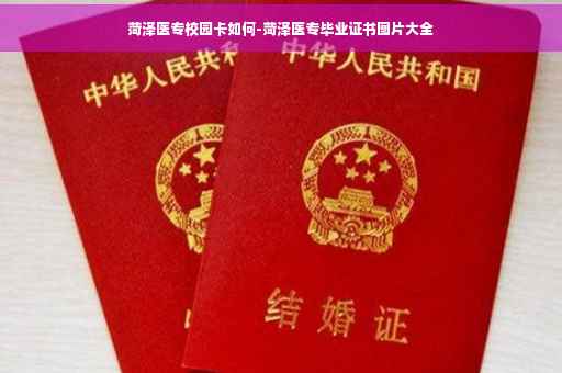 菏泽医专校园卡如何-菏泽医专毕业证书图片大全