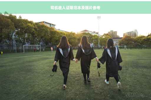 司机收入证明范本及图片参考
